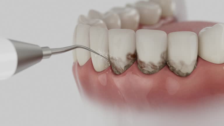 Reliable Dental contractor in Los Fresnos, TX by Dentist Open Now